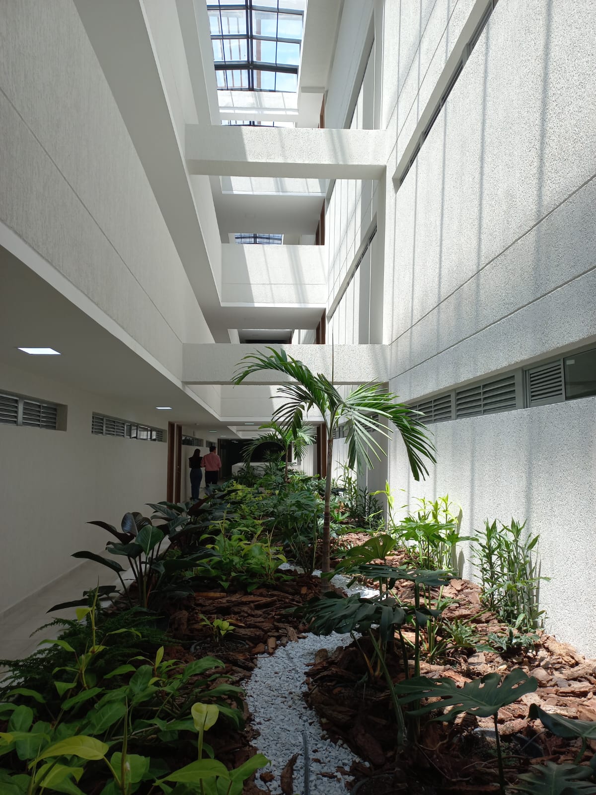 Roble Alto — vista 2